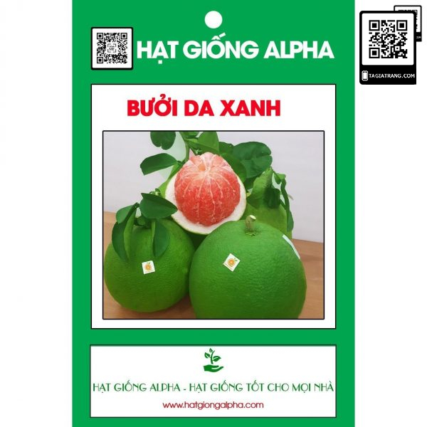 Cây giống bưởi da xanh