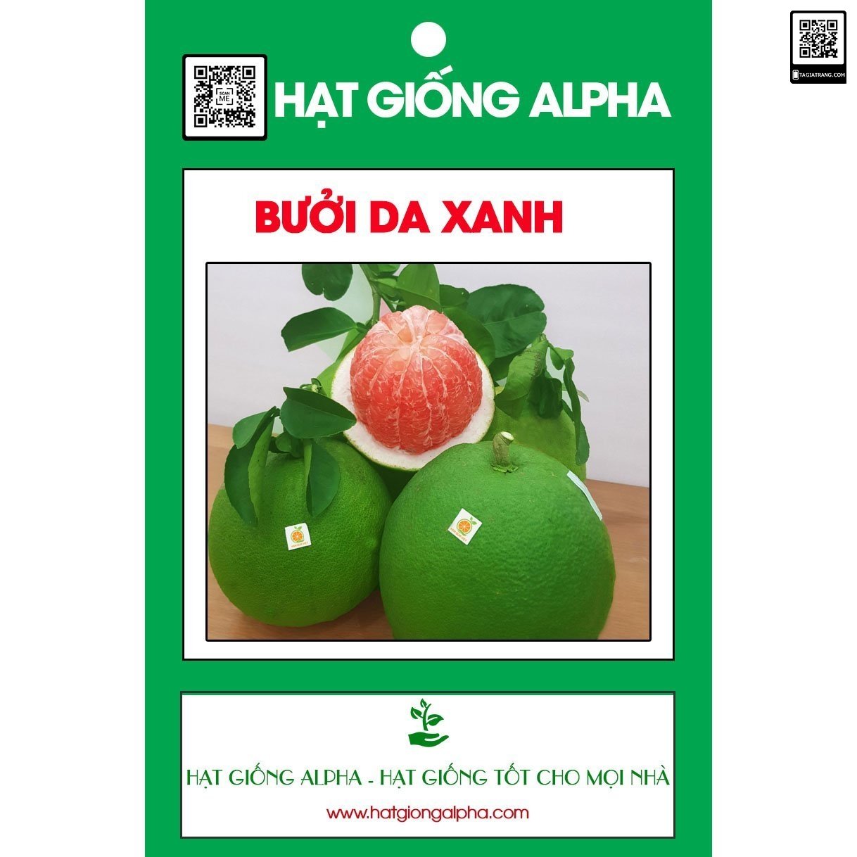 bưởi da xanh