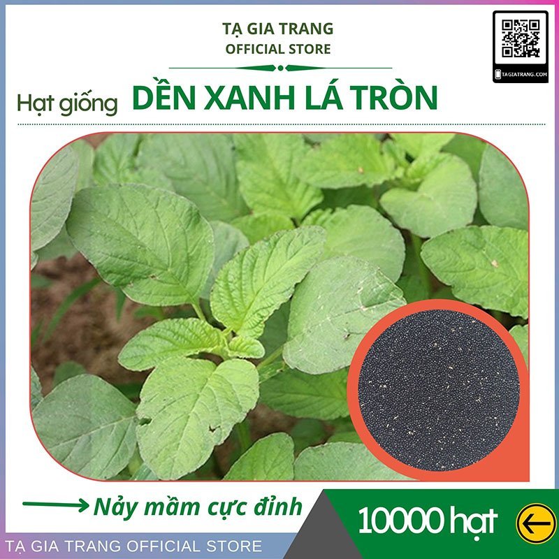 hat giong den xanh la tron