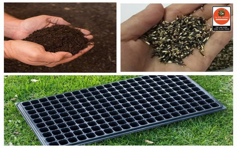 Hình ảnh đất trồng, khay ươm và hạt giống 