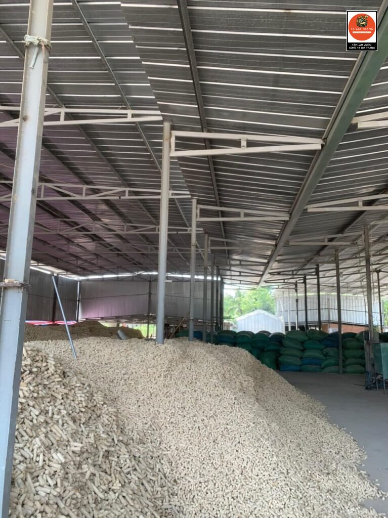 Cùi bắp Lõi ngô